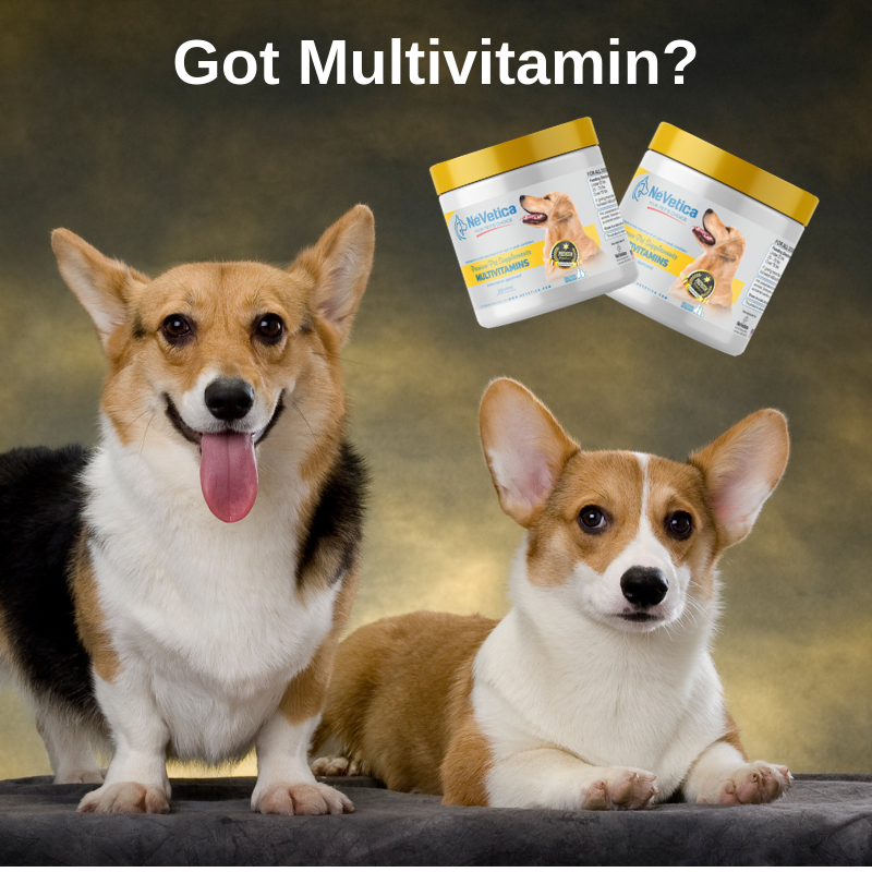 Multivitamin-Nevetica-Pup Town Spaw LLC