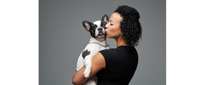 Hot Trends: Shaping The Pet Industry-Pup Town Spaw LLC