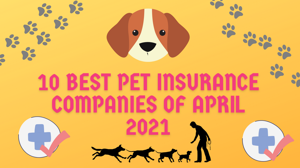 10 Best Pet Insurance Companies of April 2021