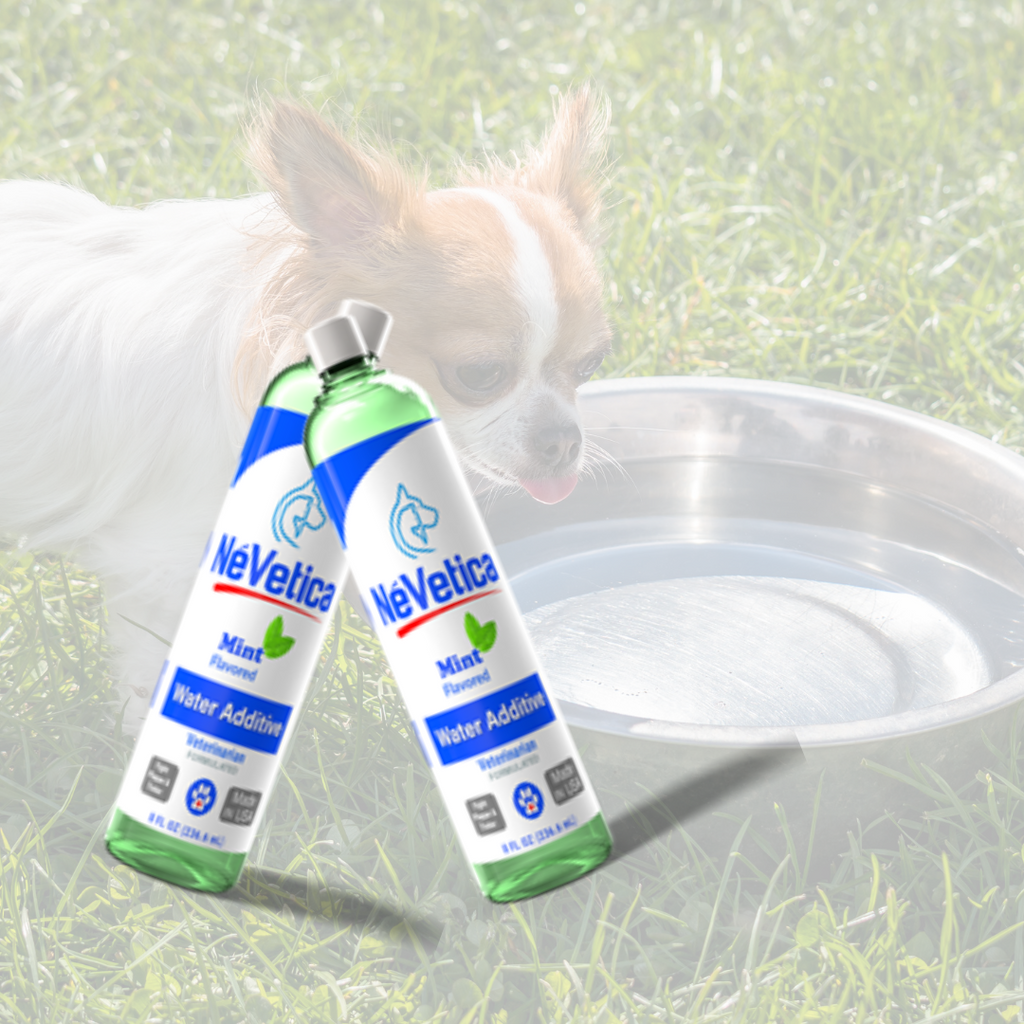 Puppy mouthwash top