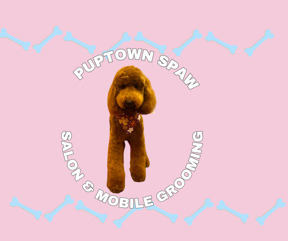 A look into your pups Spaw day