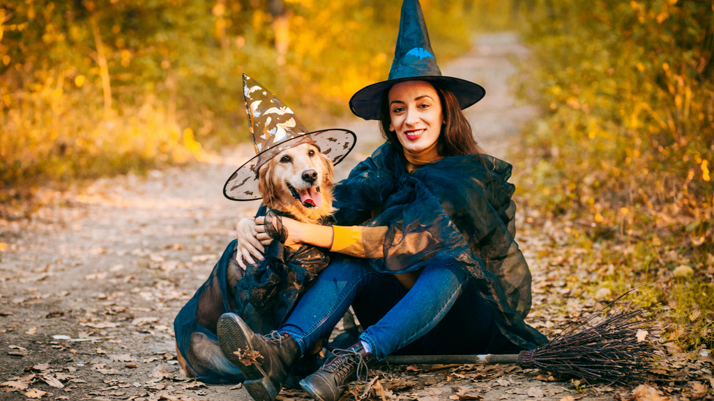 Unleashing the Fun: Dogs and Halloween