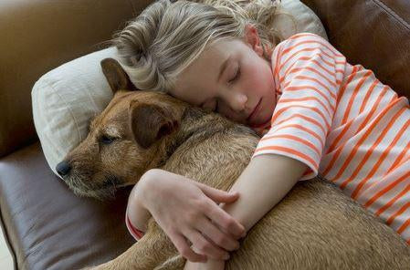 The Benefits Of Pet Ownership-Pup Town Spaw LLC