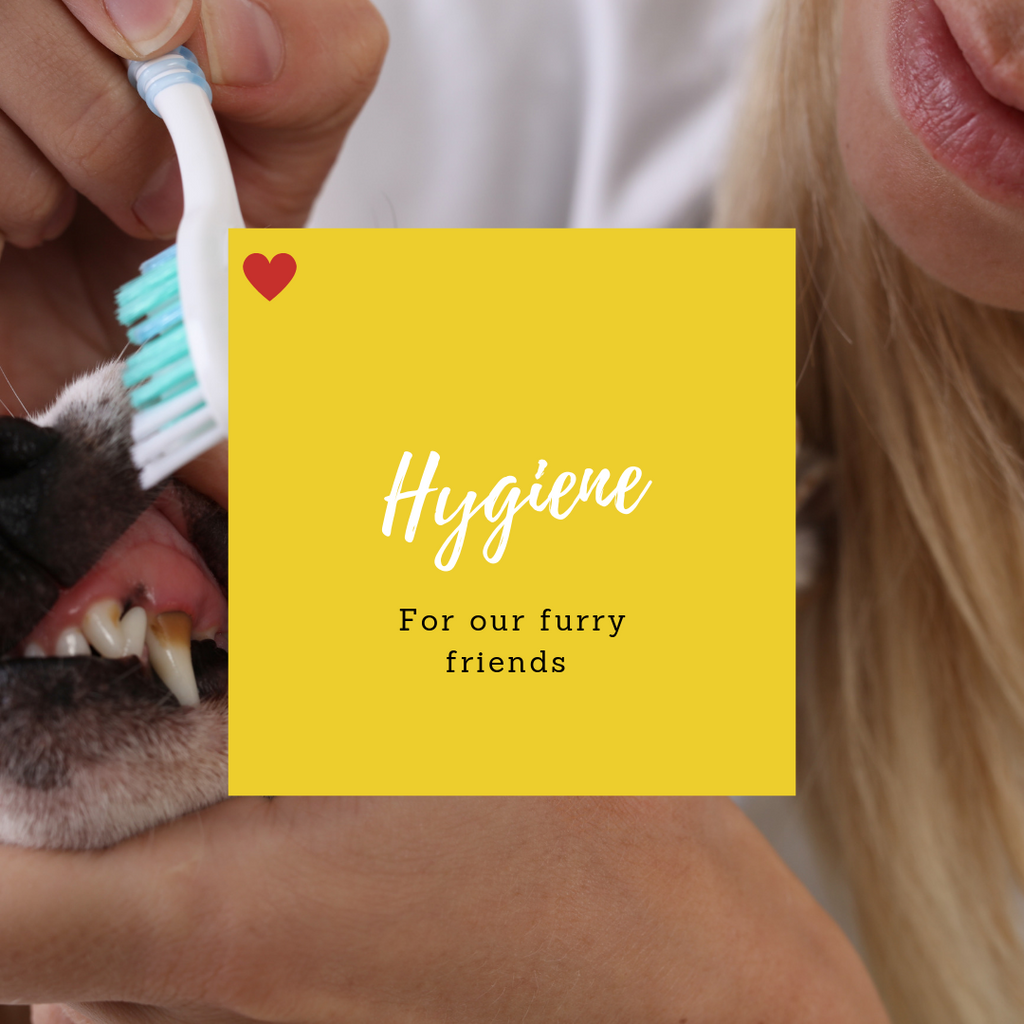 Hygiene-Pup Town Spaw LLC