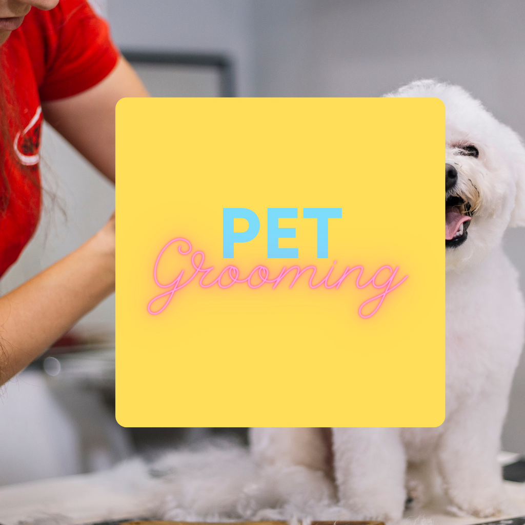 Pet Grooming