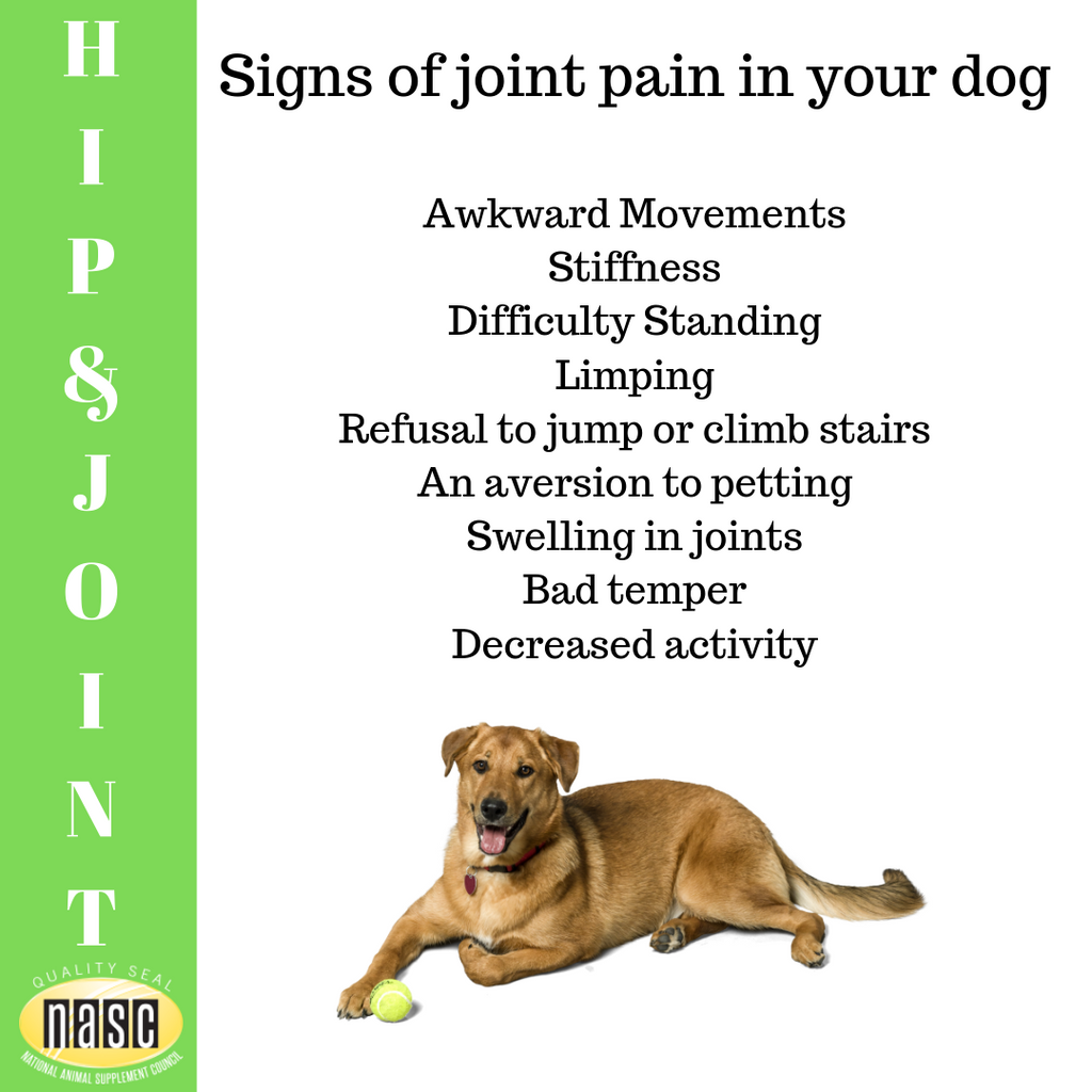 Hip & Joint-Nevetica-Pup Town Spaw LLC