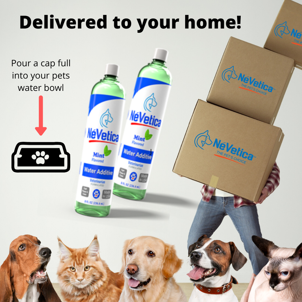 Mouthwash for dogs-Nevetica-Pup Town Spaw LLC