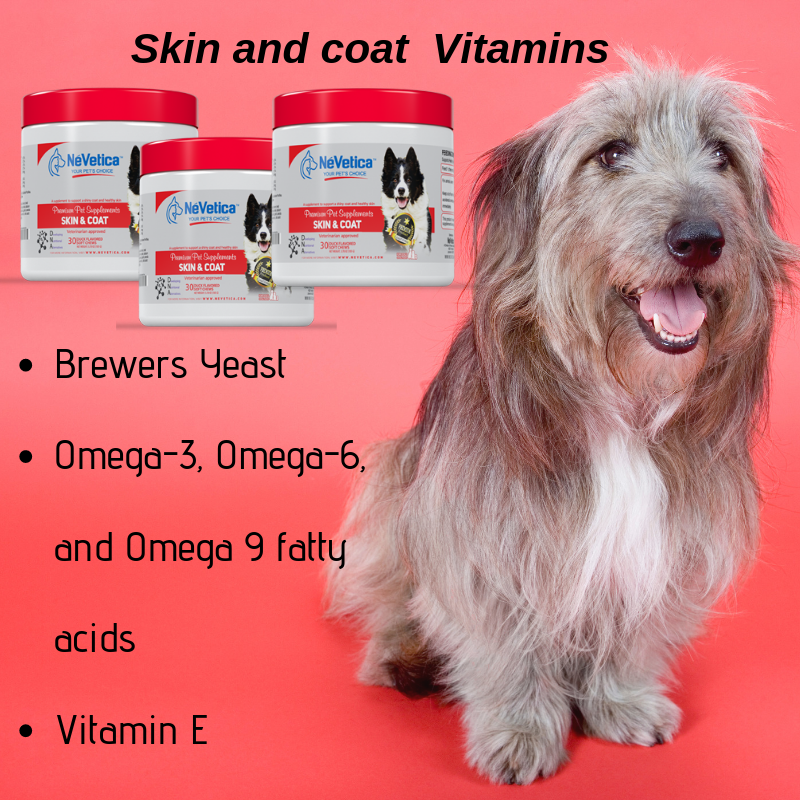 Dog vitamins for sales skin and coat