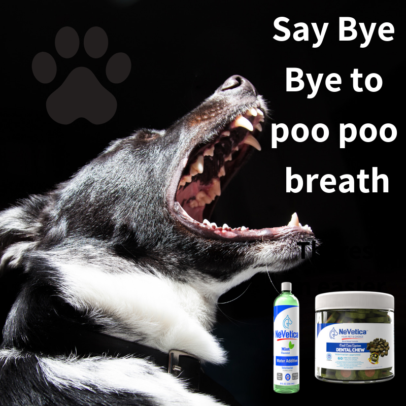 Mouthwash for dogs-Nevetica-Pup Town Spaw LLC